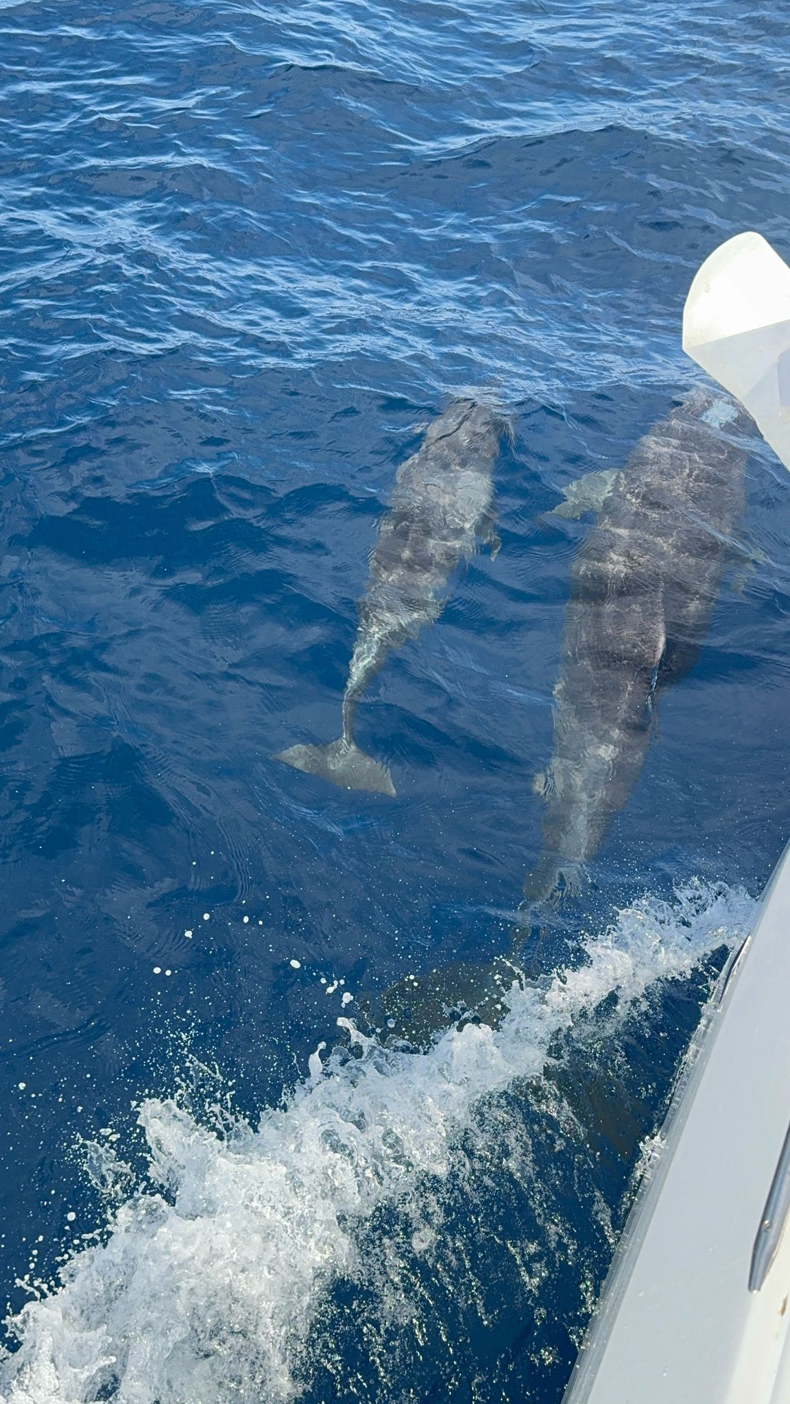 IMG-20250714-WA0018